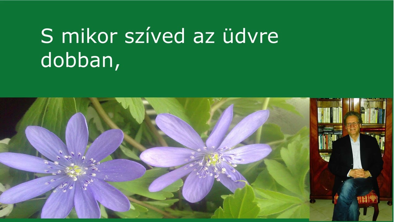 Magyarnóta karaoke Szeretnék május éjszakáján Szerkesztette: Gráber Mihály