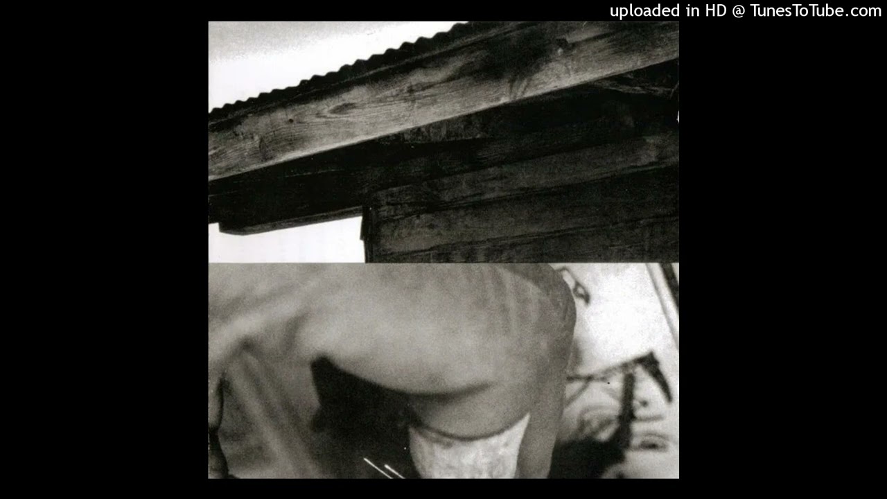 The Gerogerigegege - Night Is Morning (1993)