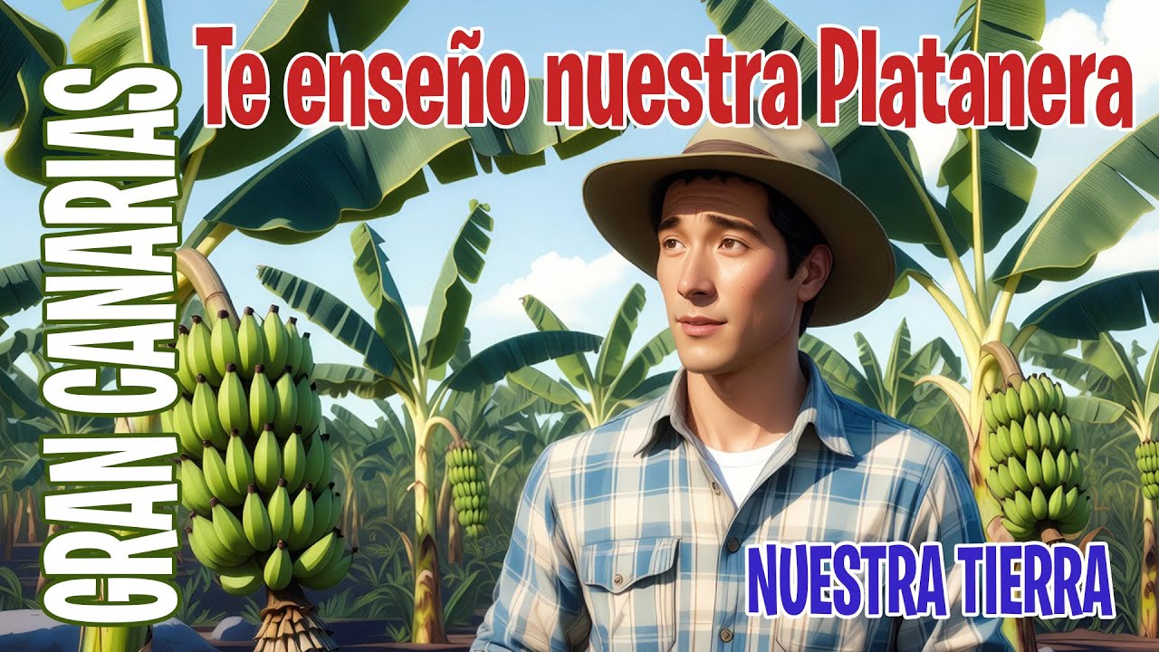 ¿ Quieres saber como es una Platanera ? . Aquí tenemos a John que nos lo explica todo.