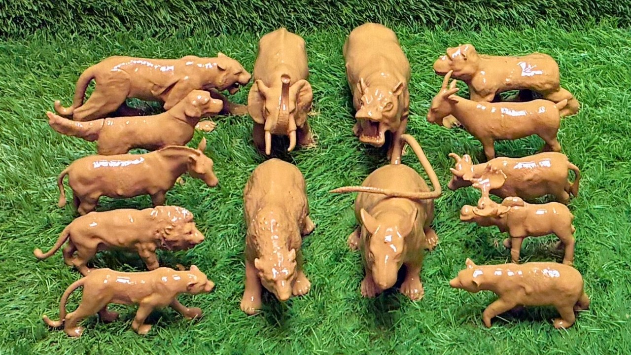An Epic Expedition into the World of Herbivores & Carnivores with Jungle Animals!
