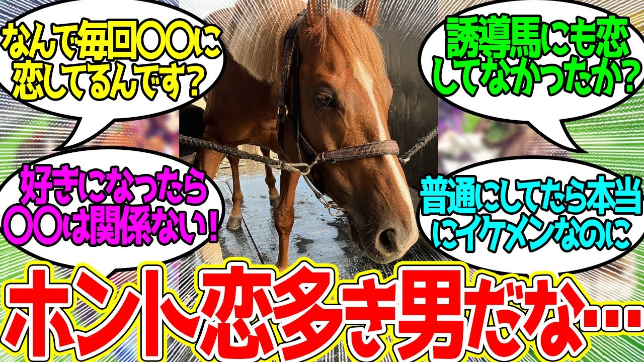 【恋報】バビットが恋してる相手&hellip;に対するみんなの反応！【競馬 の反応集】