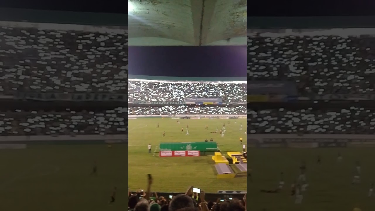 Apaixonada torcida do guarani