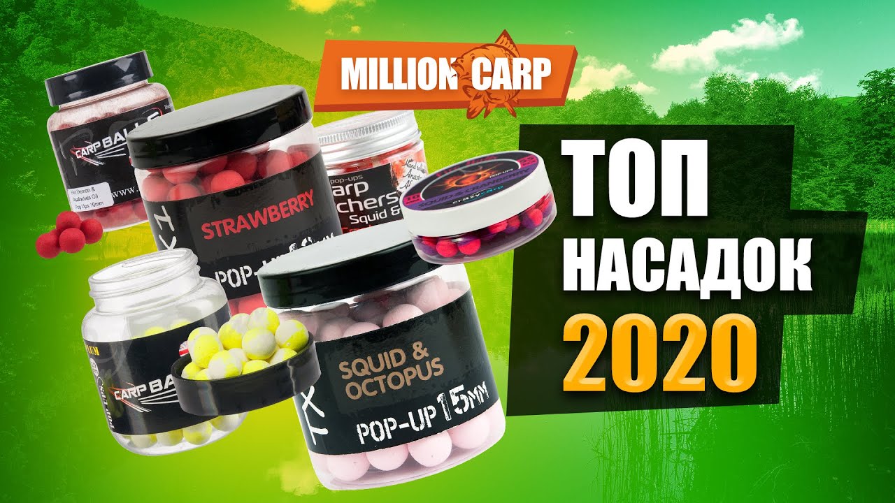 На что ловить карпа? ТОП-8 насадок 2020 года