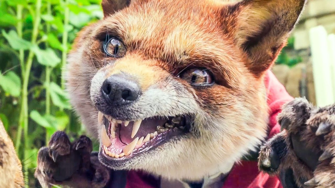 PETER RABBIT Trailer (2018) Daisy Ridley