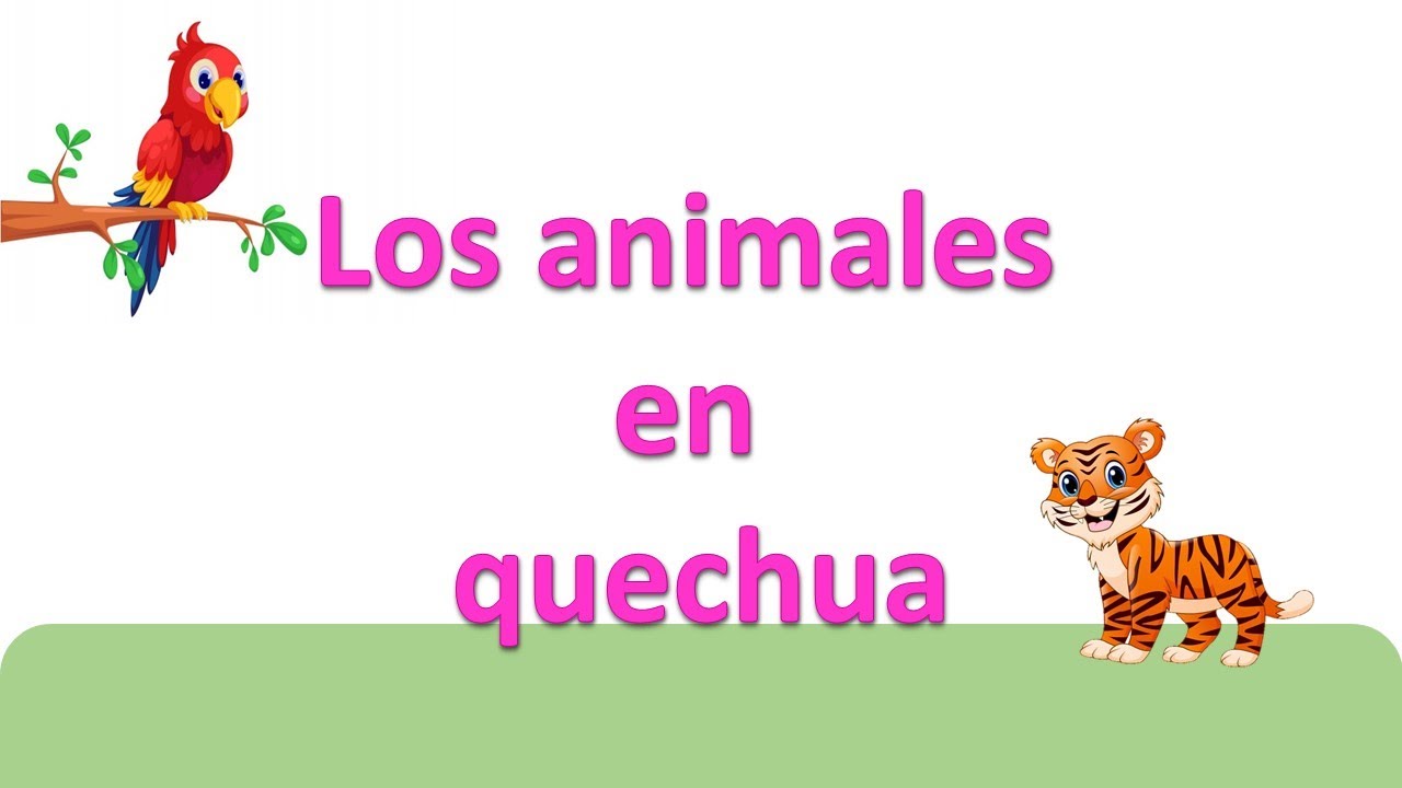 Quechua Chanka: Clase 4, los animales
