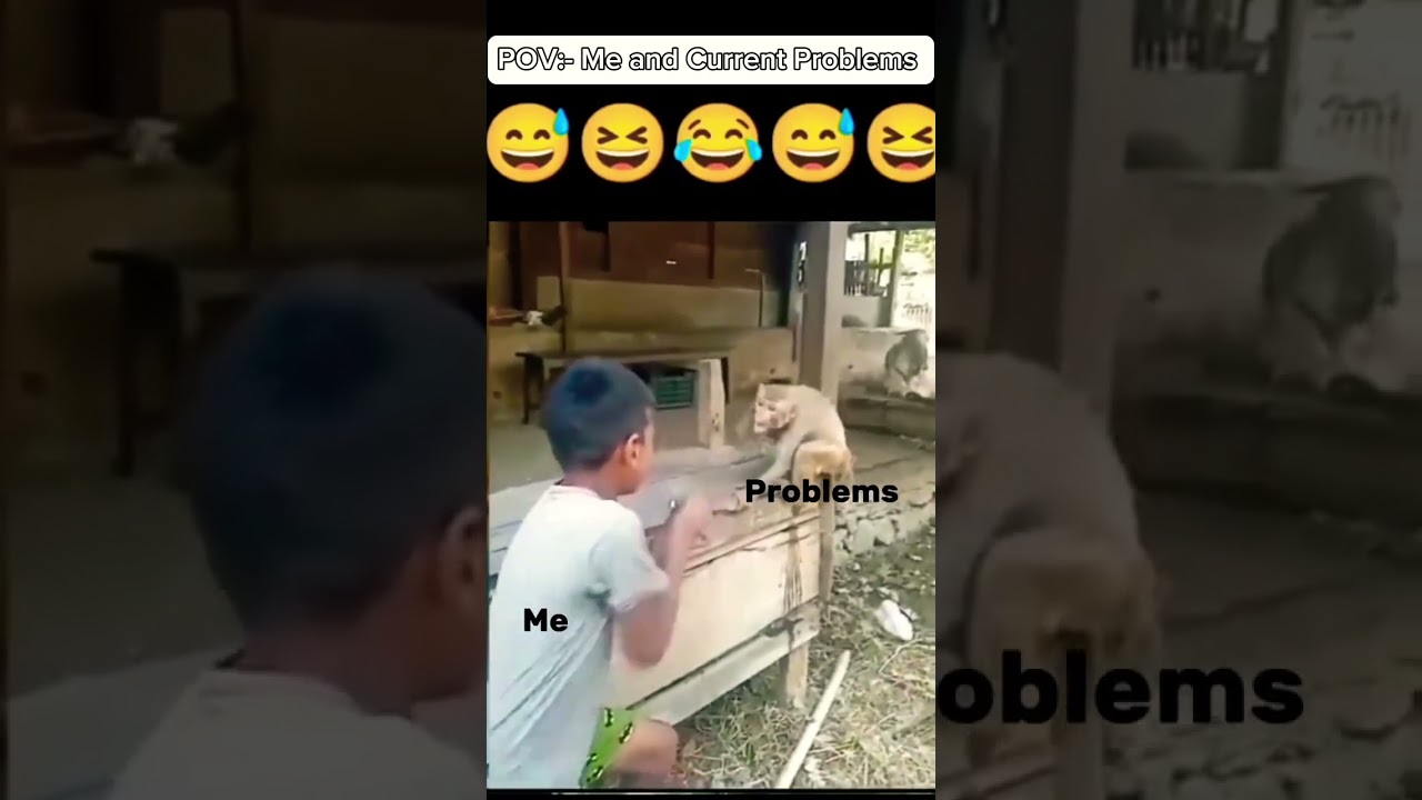 Monkey &boy comedy#trendingshorts #tikilifestyle #ytshorts #shorts #animalshorts #subscribe #comedy