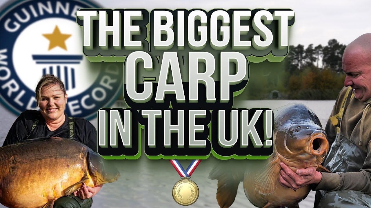 THE BIGGEST CARP 'EVER' CAUGHT IN THE UK! 🤯