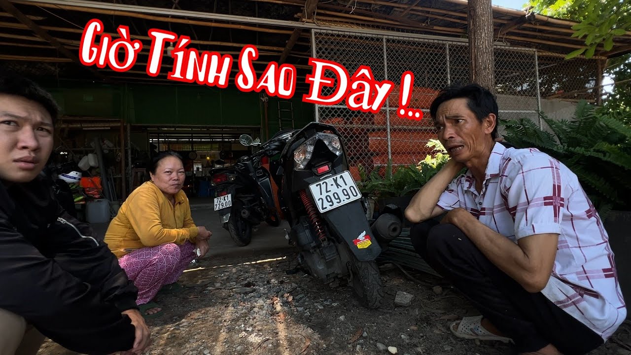 Bà 8 Phong Ngựa Ngựa Mượn Xe Đi 1 Xíu Về Mất Tiêu Cái Phuộc Xe