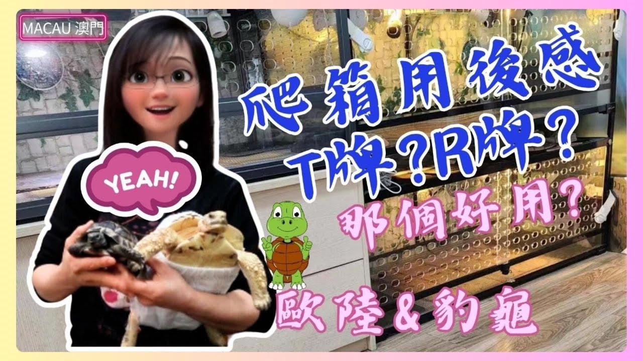🇲🇴|豹紋陸龜│歐洲陸龜│兩大玻璃爬箱用後感比較和分享│T牌和R牌那款爬箱好用？兩者差在哪裡？