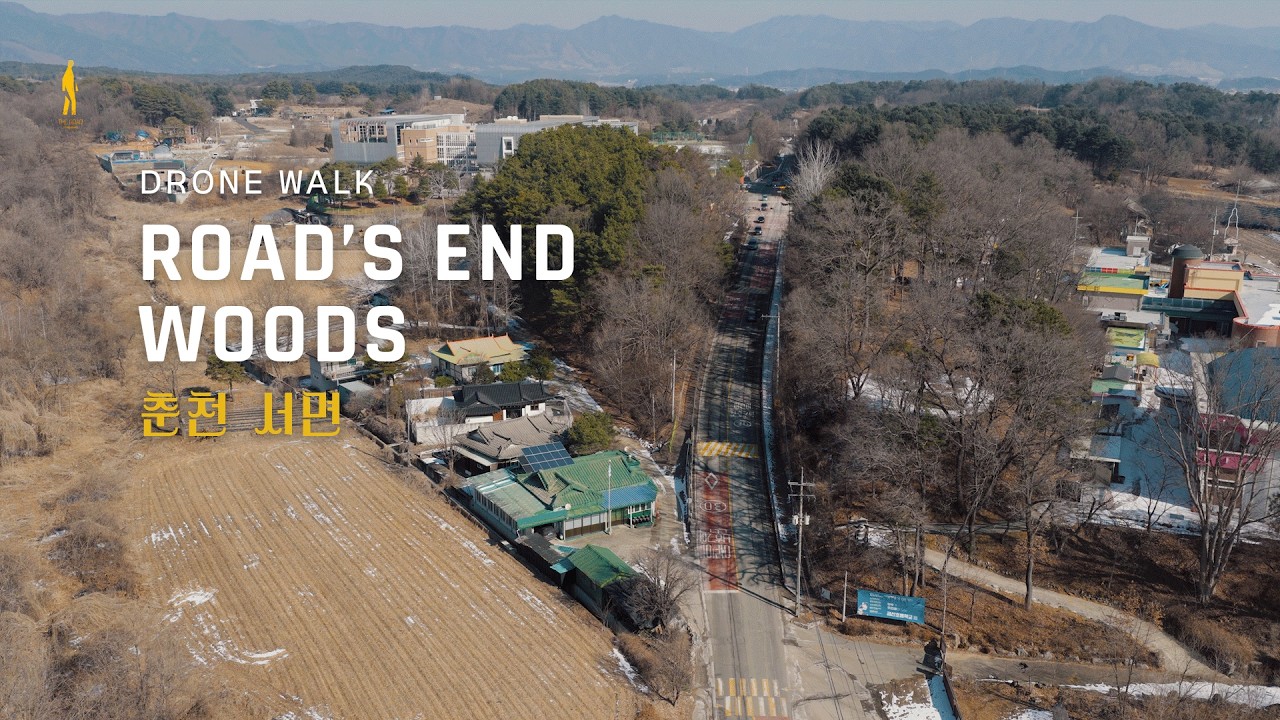 Маленький лес в конце дороги | Warm Winter Sun on a Quiet Country Road | Korea Drone Walk