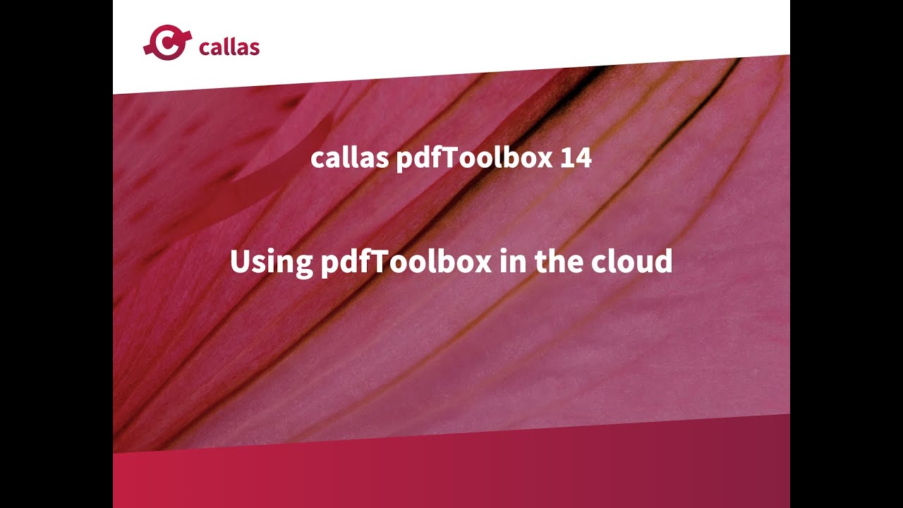 pdfToolbox 14 - pdftoolbox for use in the cloud?