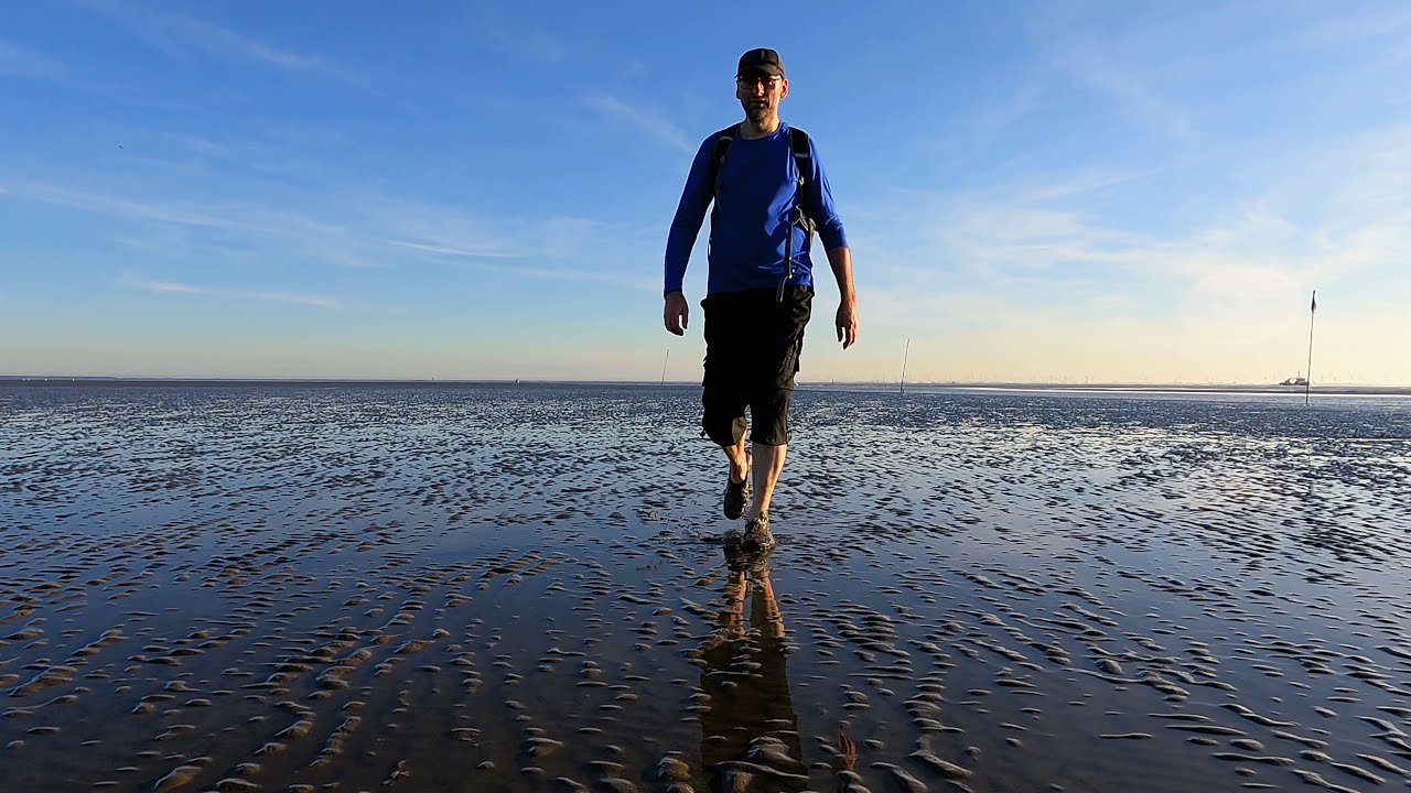 Mudflat hike in the Elbe estuary to the North Sea