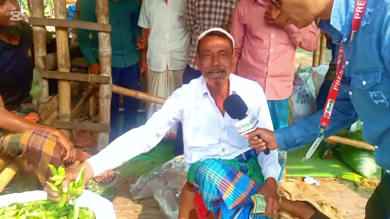 কমতে শুরু করেছে বিভিন্ন ধরণের তরিতরকারির দাম।
