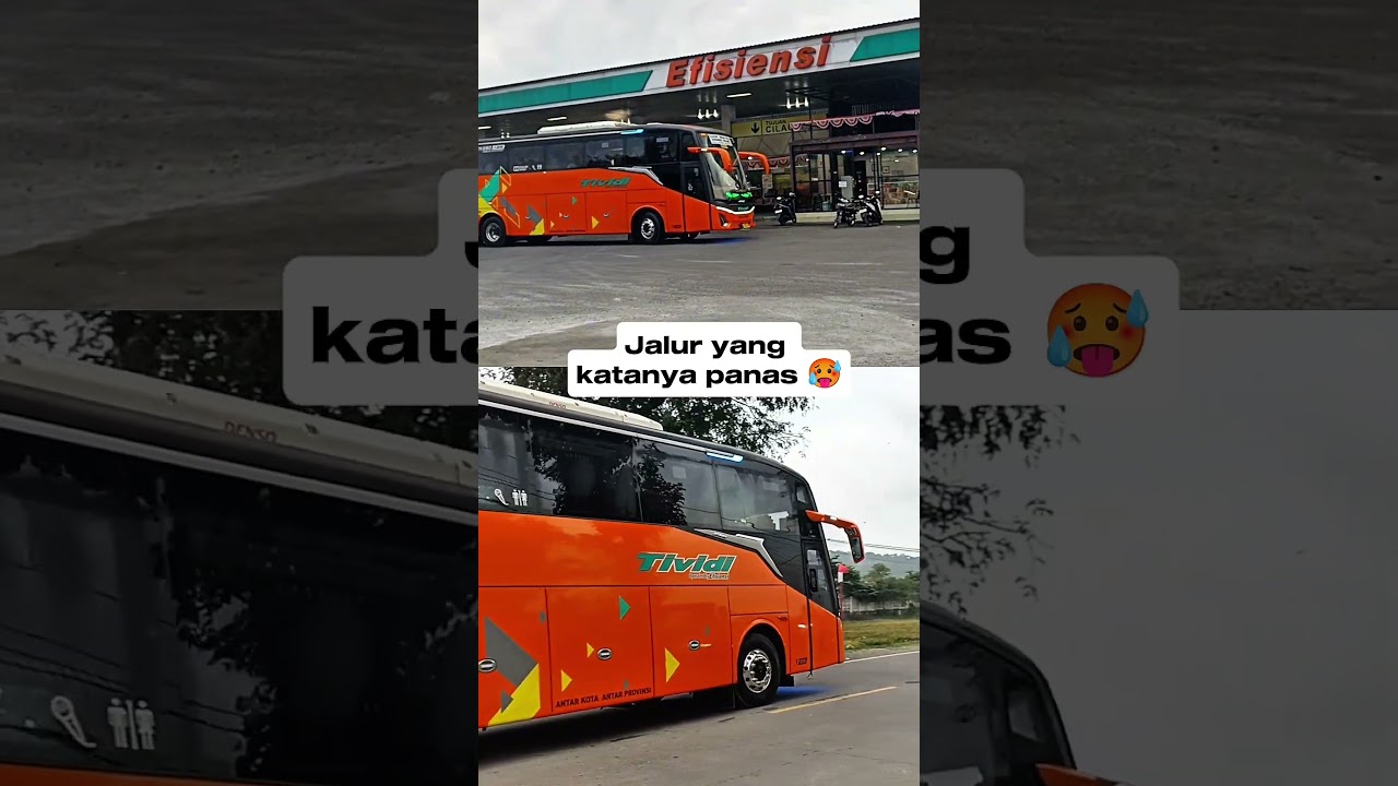 Bus jalur ke Malang wajib premium ? #bus #busmania #trending