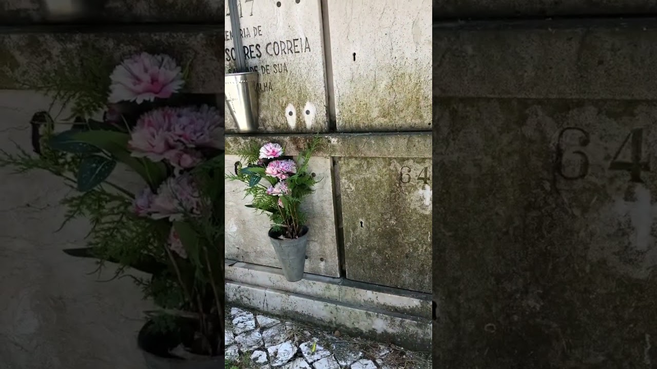 A visit to the tomb of Soledad Miranda Pt 6/7
