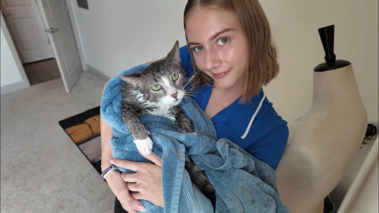 Проведи день со мной