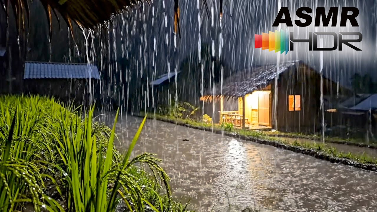 Heavy Rain on Thatched Roof for Deep Sleep | Cozy Village Rain Sounds (12 Hours)
