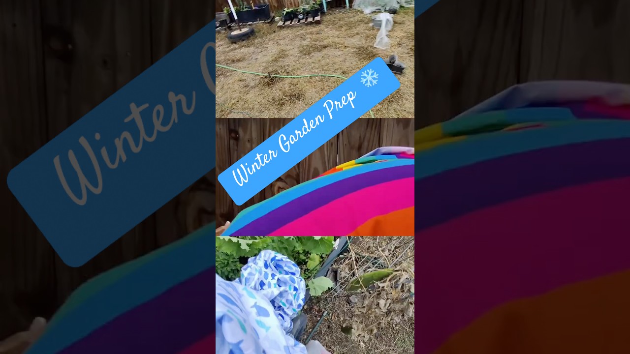 How We Protect Our Garden During Winter ❄️🌱 