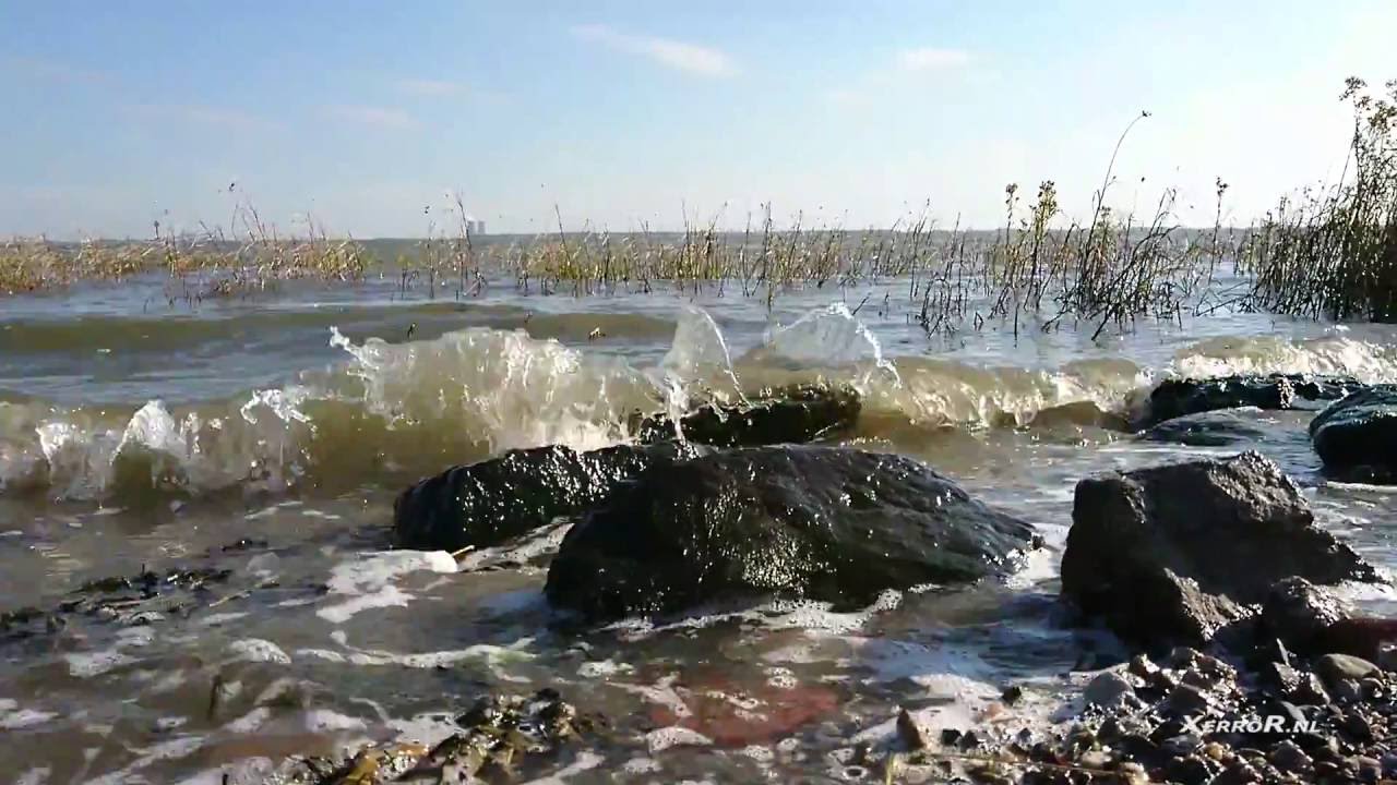 Sony Xperia XZ camera tests XerroR