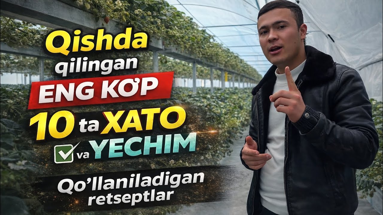 Qishda QOʻLLANILADIGAN RETSEPTLAR .xatolar va yechimlar 
