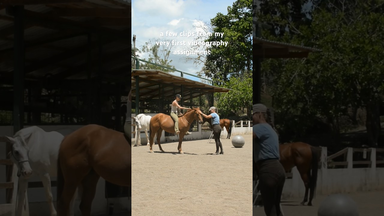 Creating Equestrian Content for Reels, TikTok, and Shorts 🐎🌴🌺 