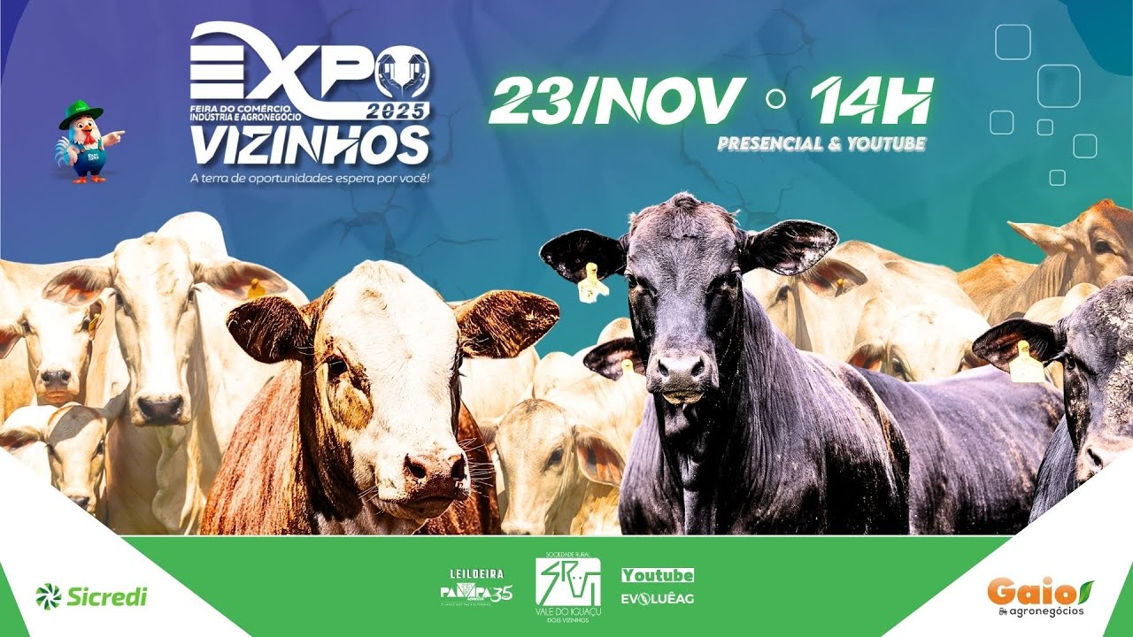 Leil&atilde;o de Gado AO VIVO | ExpoVizinhos 23/11/2025 14H | Pampa Remates