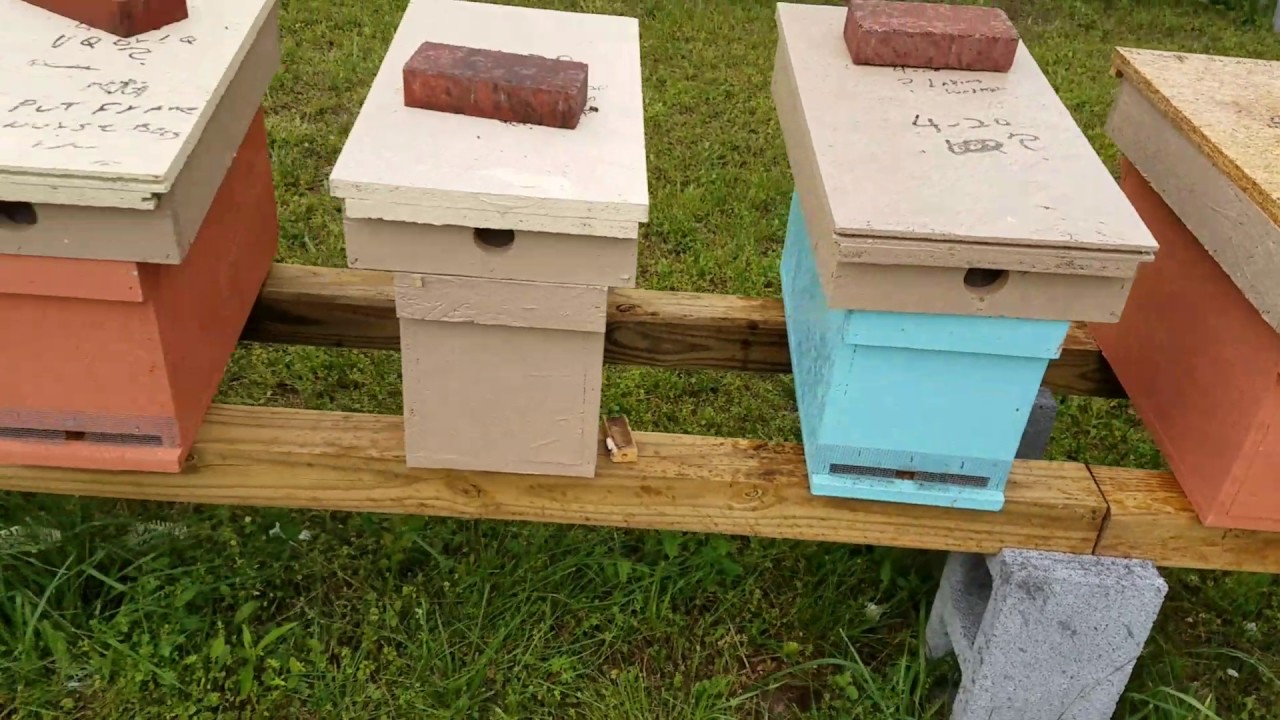 Make your own hive stands quick cheap wind resistant