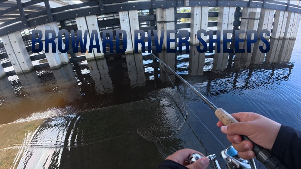 Fishing Dunn's Creek And Broward's River (SHEEPSHEAD MECHA!)