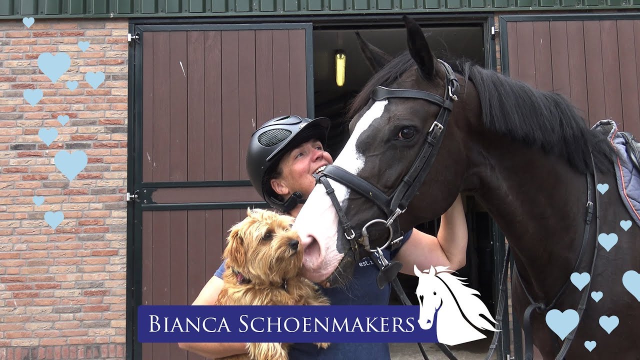 Professional Show Jumper, what exactly do you do? - Bianca Schoenmakers - * Heart for Horses *