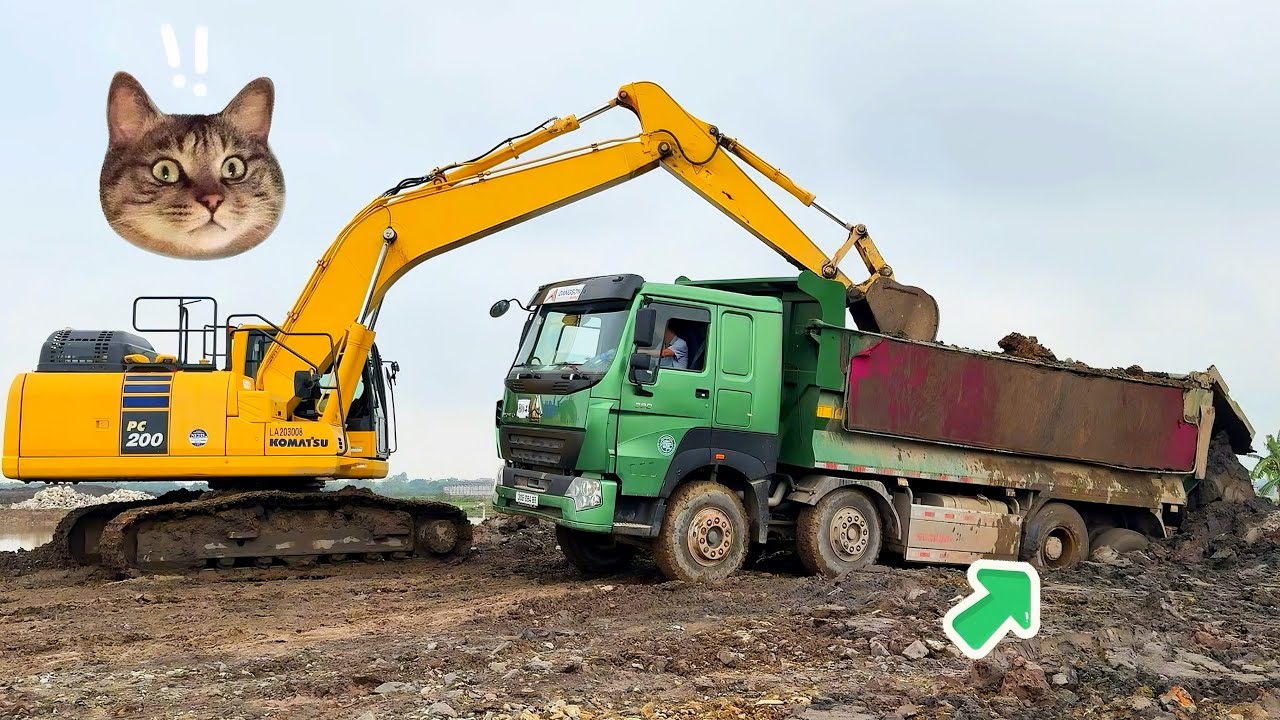 M&aacute;y x&uacute;c c&ocirc;ng trường x&uacute;c đất, cẩu đồ | Xe tải ben chở đất & x&agrave; bần &ndash; Excavator & truck