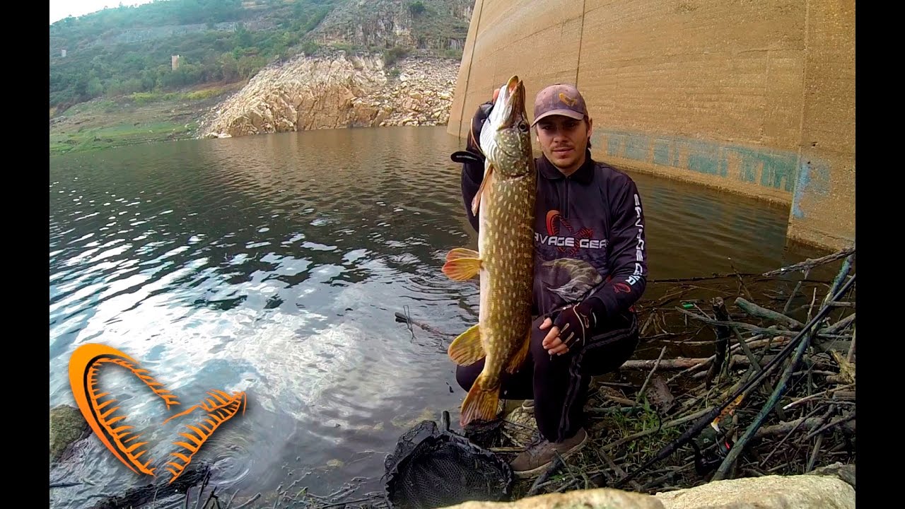 Novo record na pesca ao lucio | PB Pike fishing | SG 3D Trout