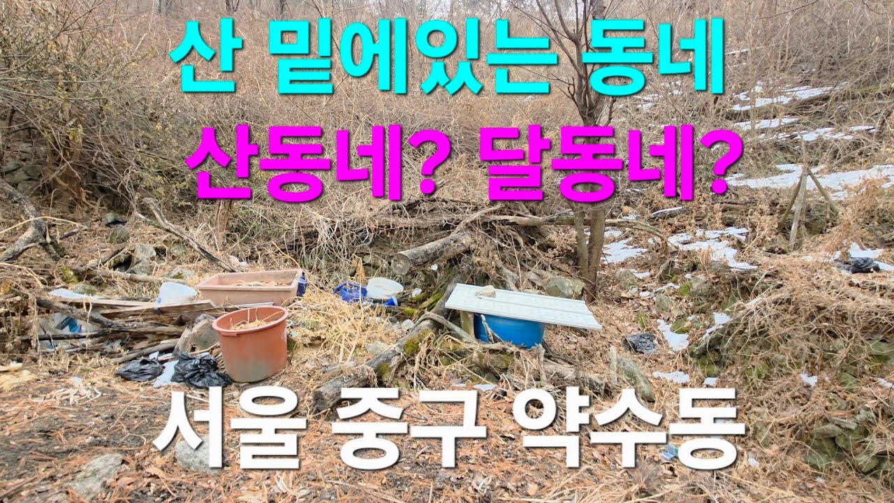 서울의 달 ? 동네,  중구 약수동
