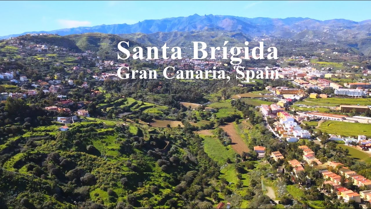 4K Bird's view of Santa Br&iacute;gida - Gran Canaria - Spain