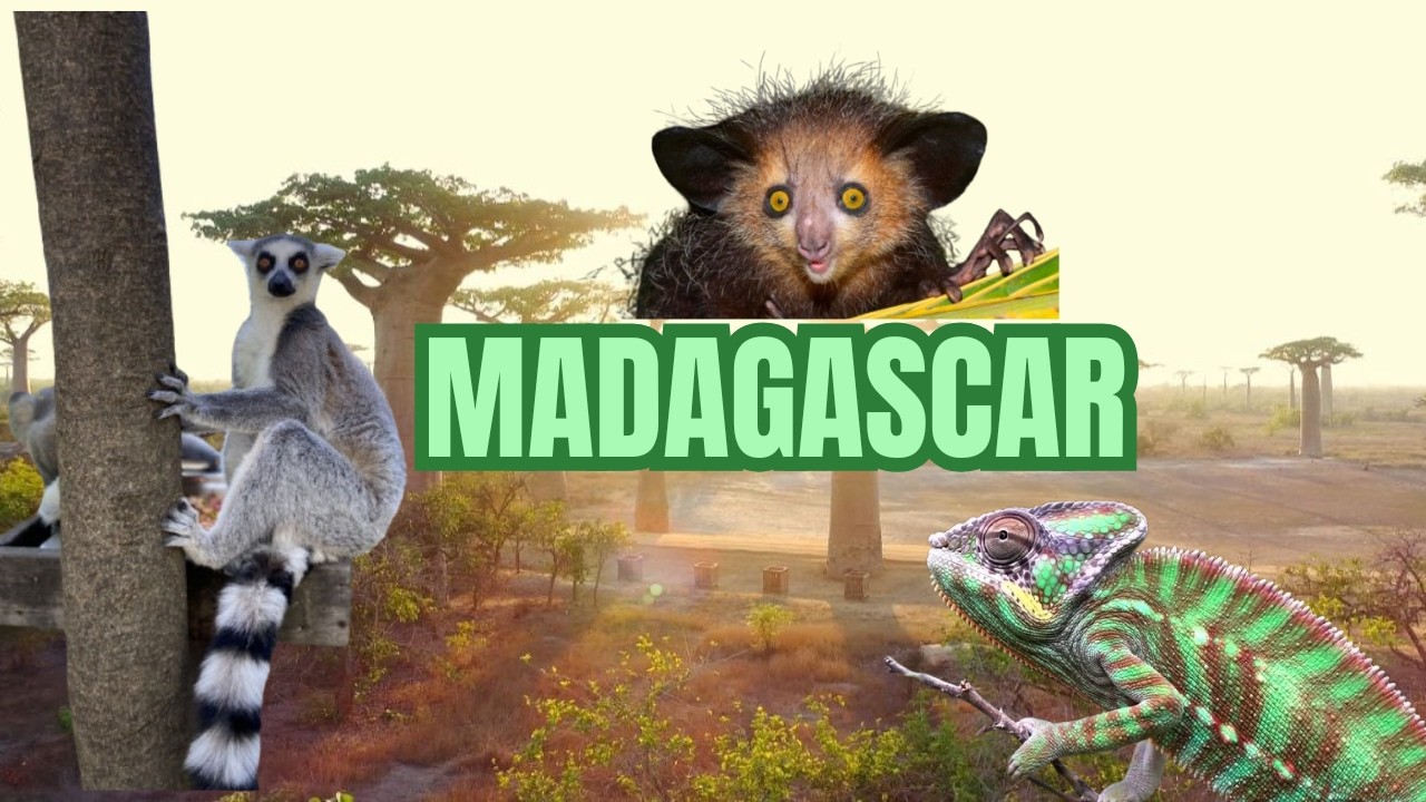 Madagascar — The Island of Unique Life