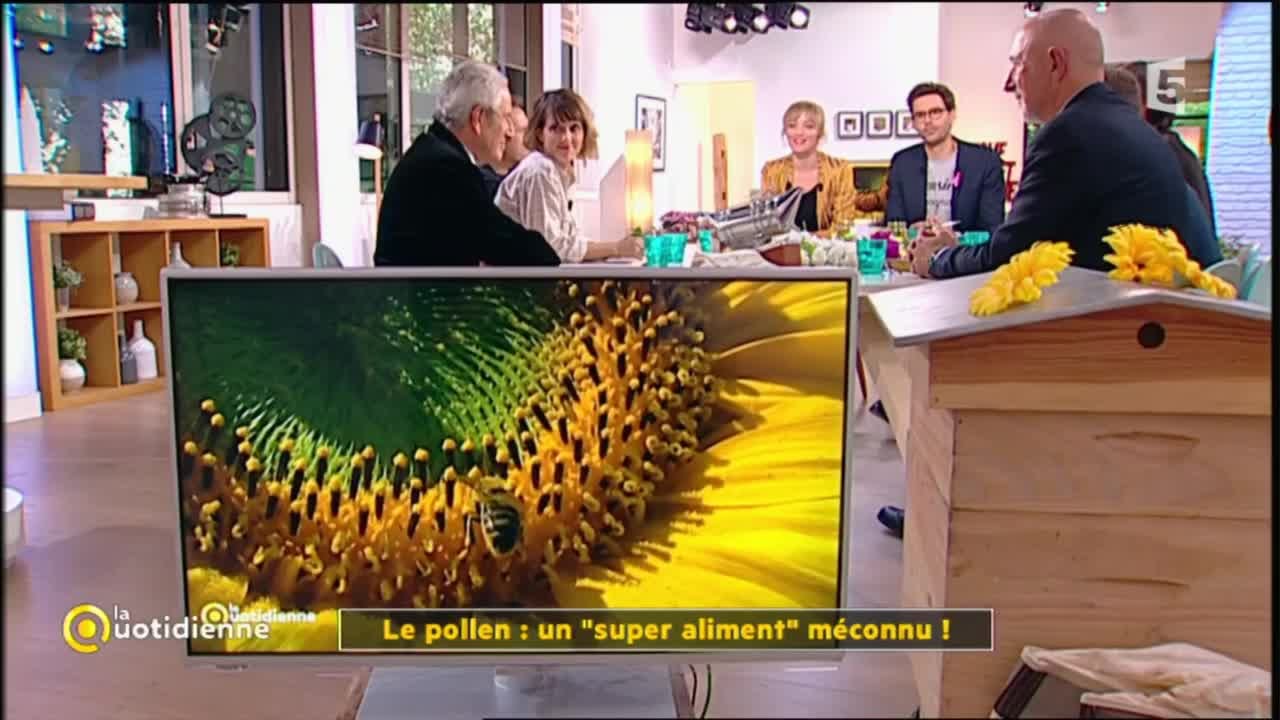 Le pollen: 