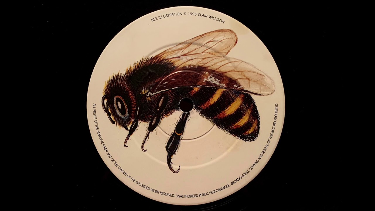 Within A Dream (Swag Mix) / Shikasta / SWARM 002 [1993]
