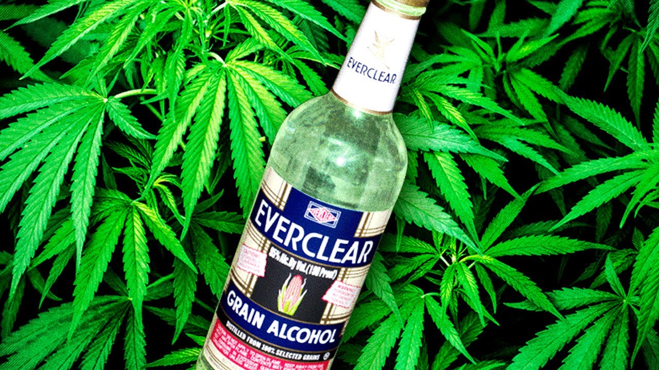 How To Make Cannabis Tincture | Green Dragon 🐉