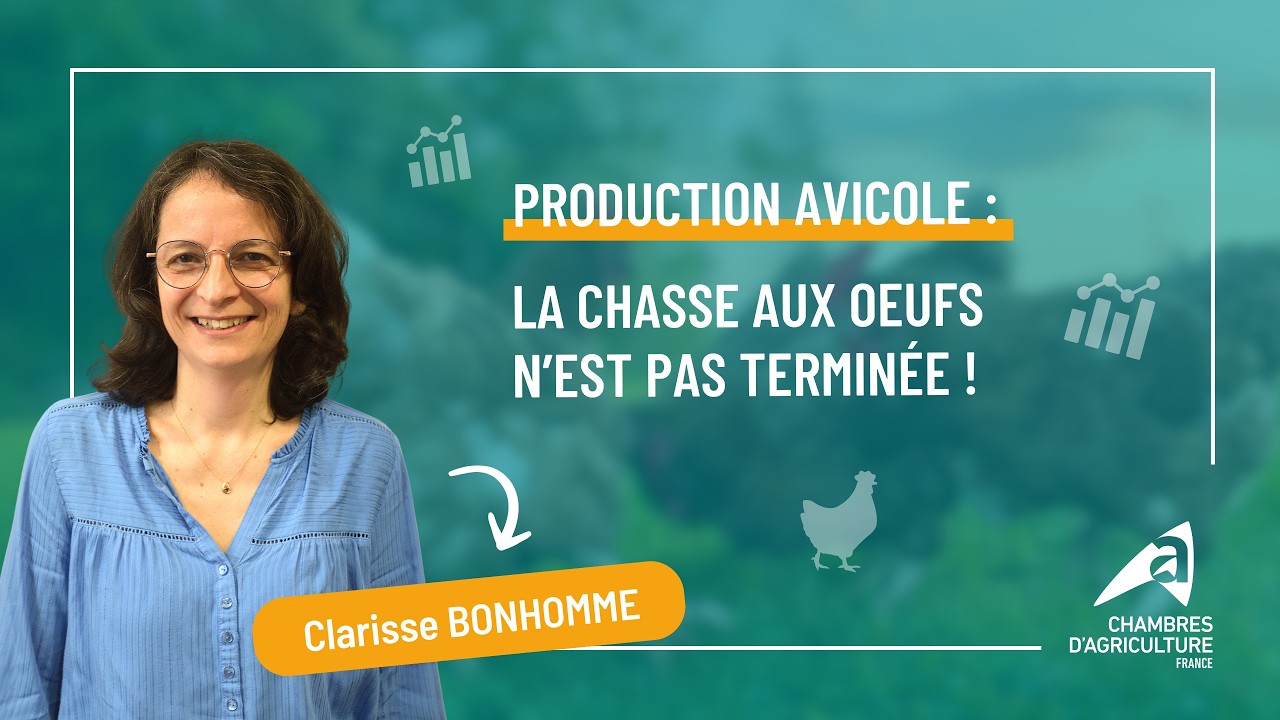 La chasse aux œufs n'est pas terminée !