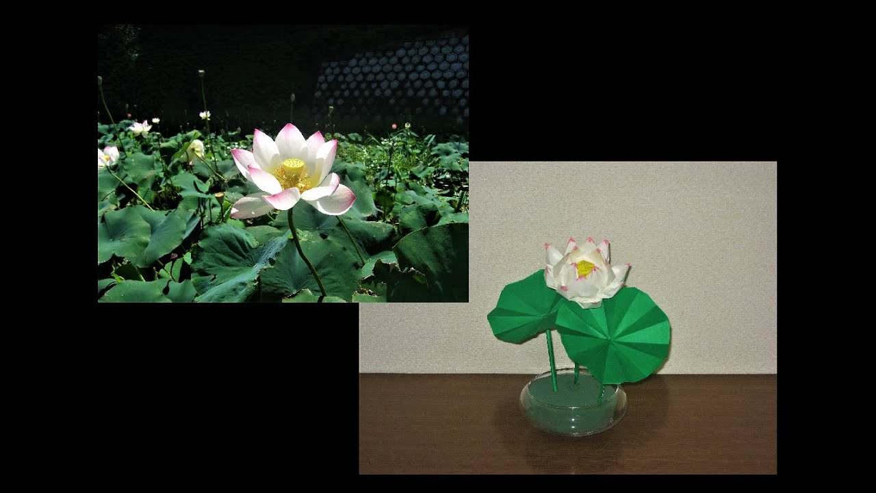 【折り紙】蓮の花を作ってみました。☆EASY make origami Lotus flower☆
