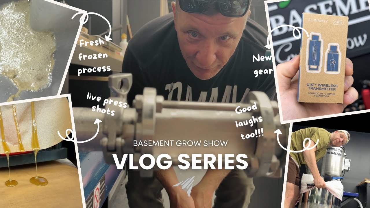 Seed to harvest updates  + Outdoor Garden Begins & Live Rosin Press from Fresh Frozen!