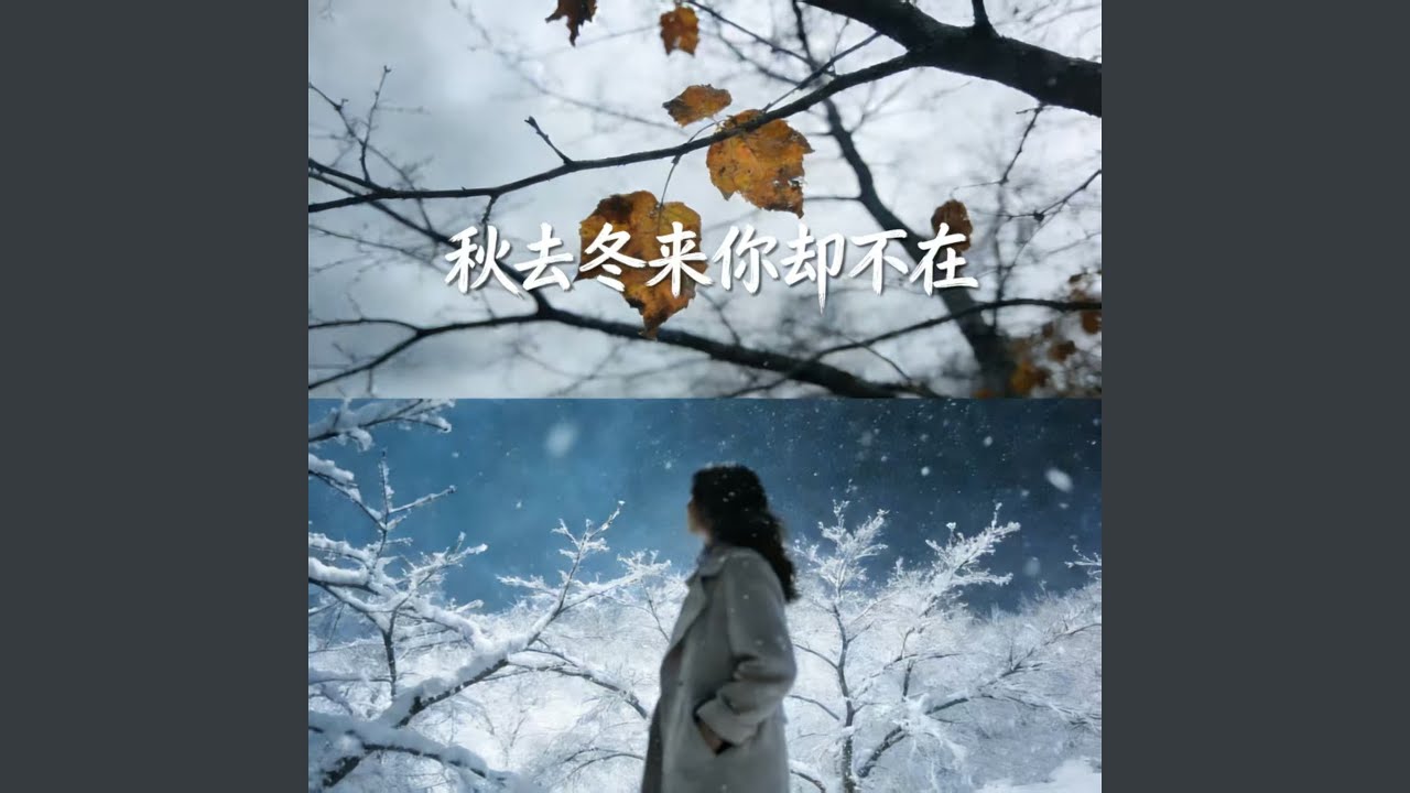 秋去冬来你却不在