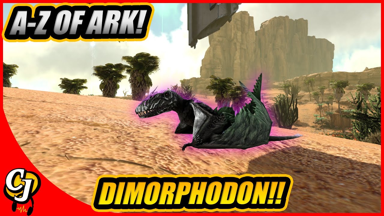 A-Z Of Ark! The DIMORPHODON And Why Its The Best Shoulder Pet!! || Ark Survival Evolved!