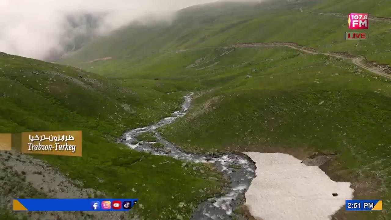 AJMAN TV Live Stream