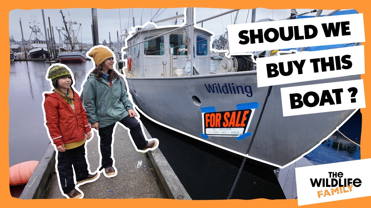 Gateway to Wild Alaska? Expedition Sailboat for The WildLife Family?