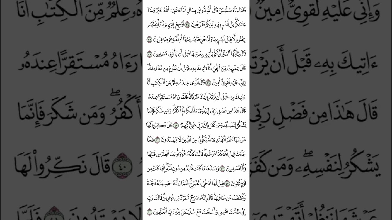 سورة النمل من آية (١) إلى آية (٥٣) للقارئ آدم عبدالله السالم