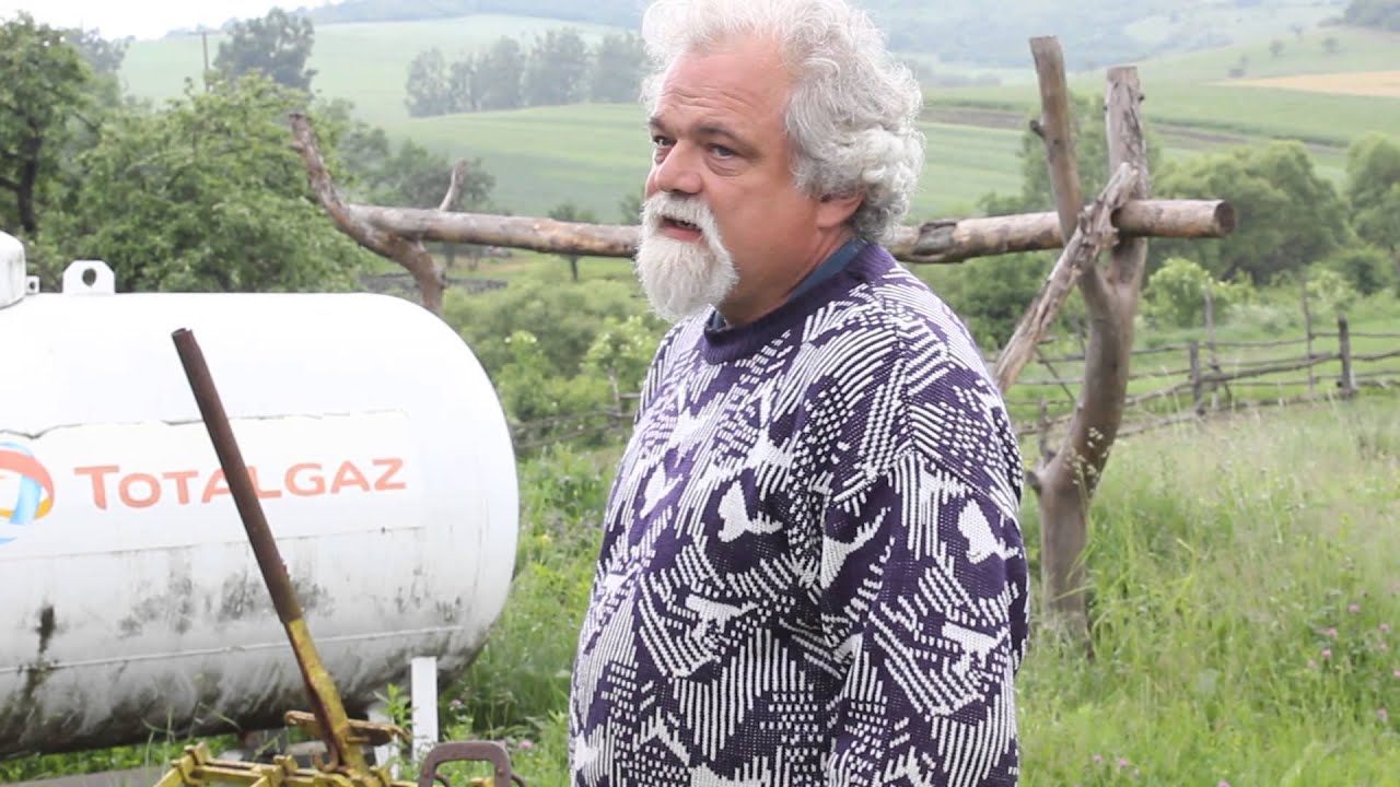 Miért jó a hucul lófajta kezdőknek, túrázásra, földműveléshez?