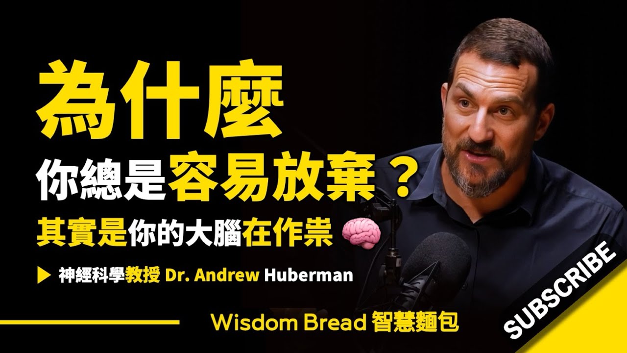爲什麼你總是容易放棄？ ► 其實是你的大腦在作祟 - Dr. Andrew Huberman 安德魯．胡伯曼博士（中英字幕）