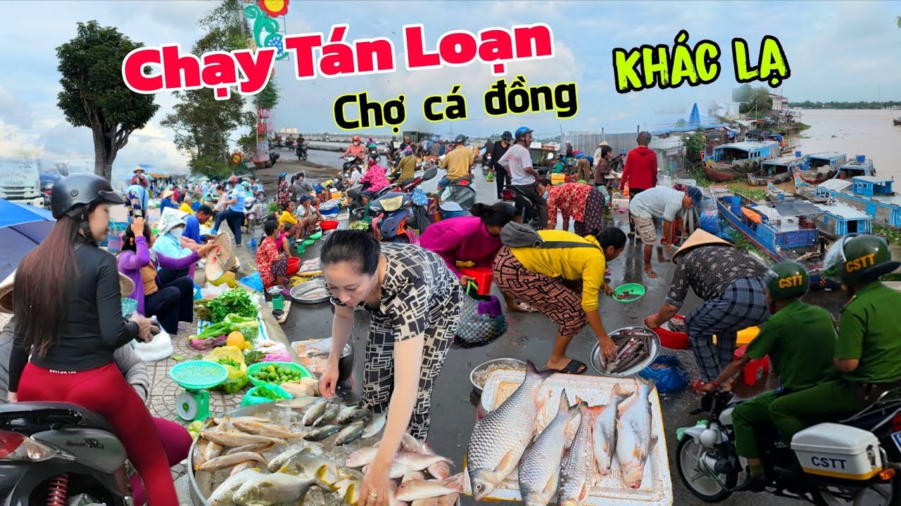 CHẠY TÁN LOẠN chợ cá đồng Ế CHƯA TỪNG THẤY mùa nước ngập chợ Vĩnh Long
