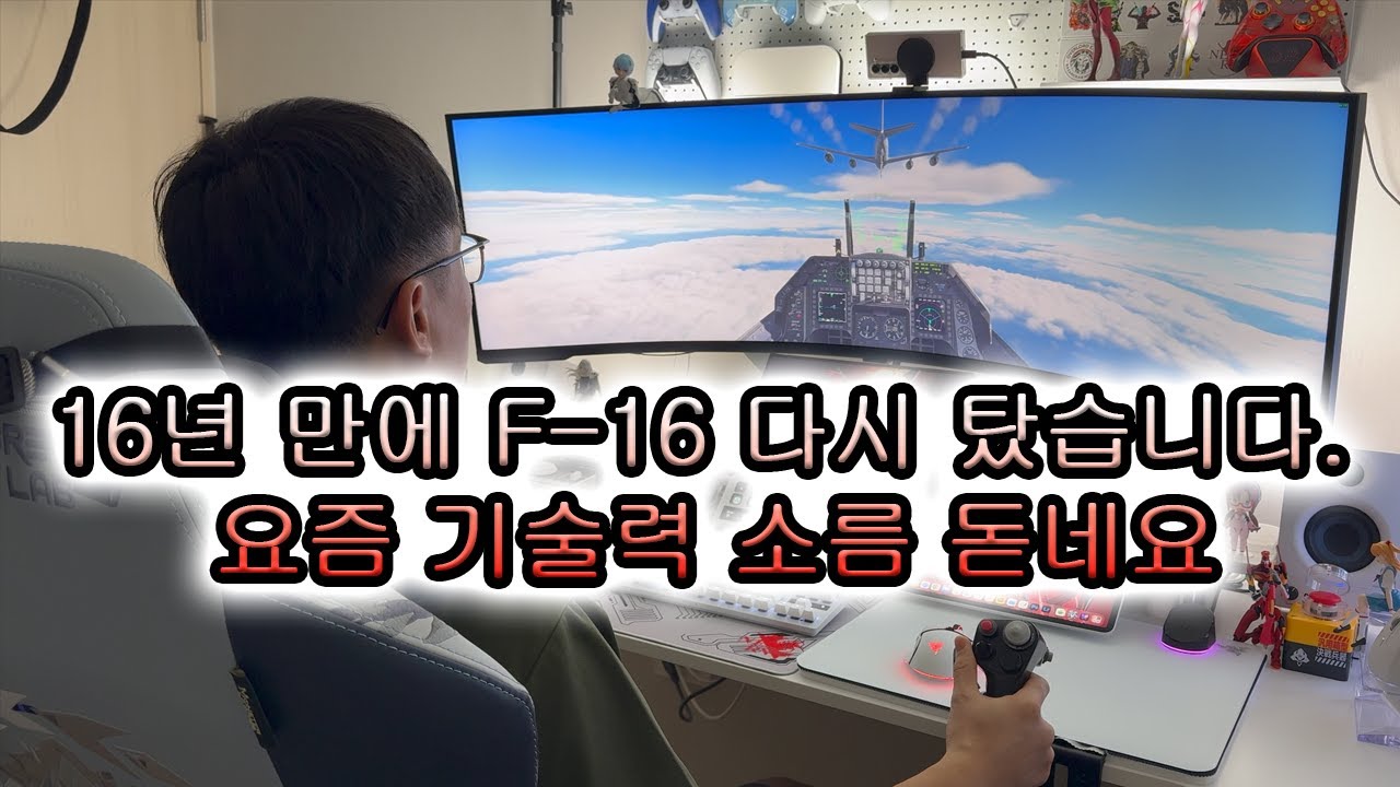 전역한 예비역 상사의 비행시뮬 입문(?)...복귀하는 이야기