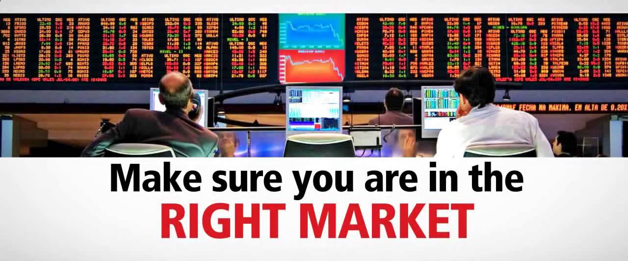 auto binary signals software